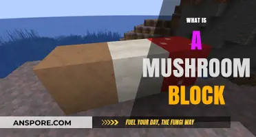 Mushroom Block: The Ultimate Guide to Unlocking Its Secrets