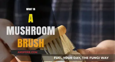 Mushroom Brush: Essential Tool for Foraging