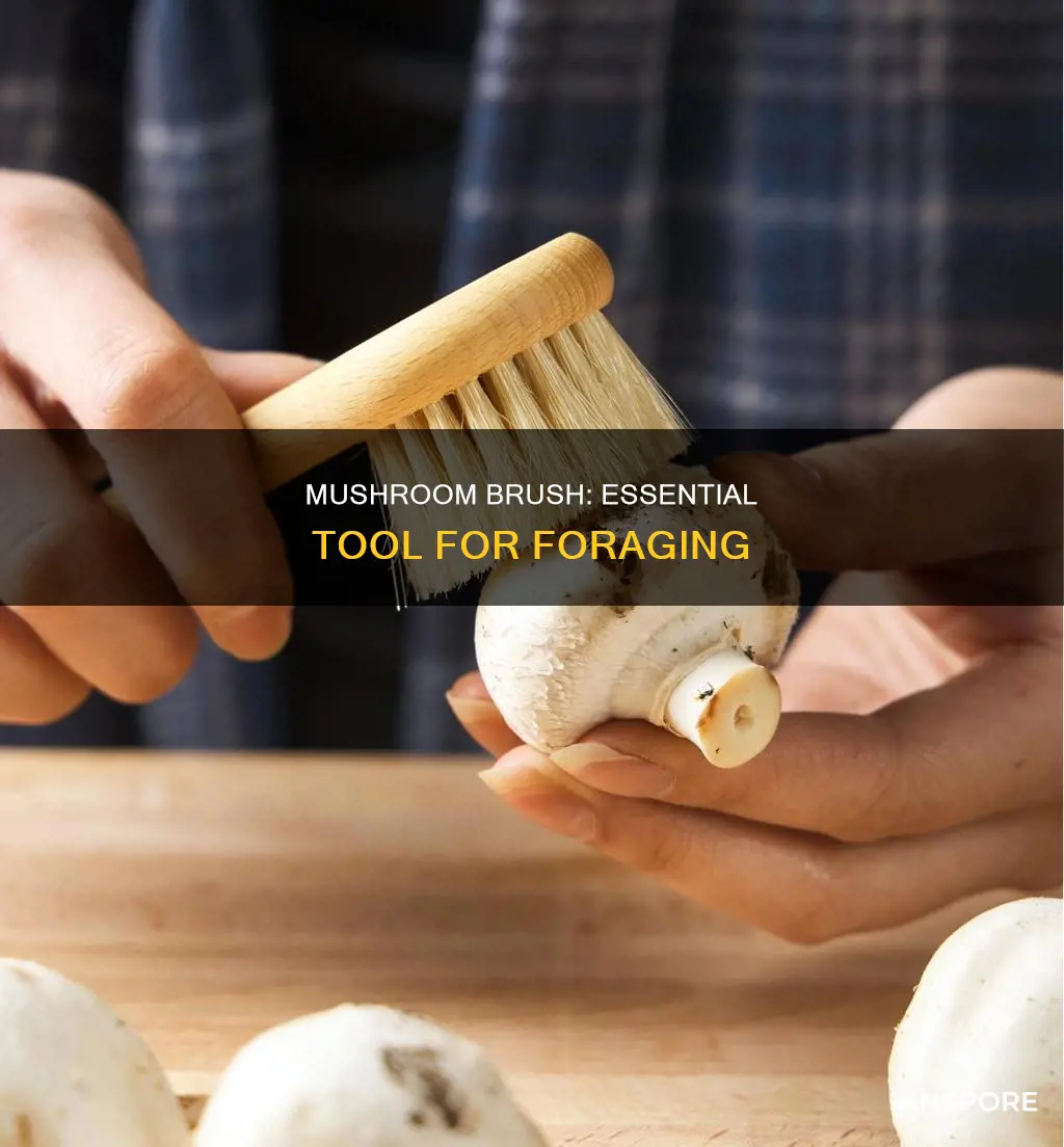 what is a mushroom brush