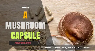 Mushroom Capsules: Nature's Superfood in a Pill