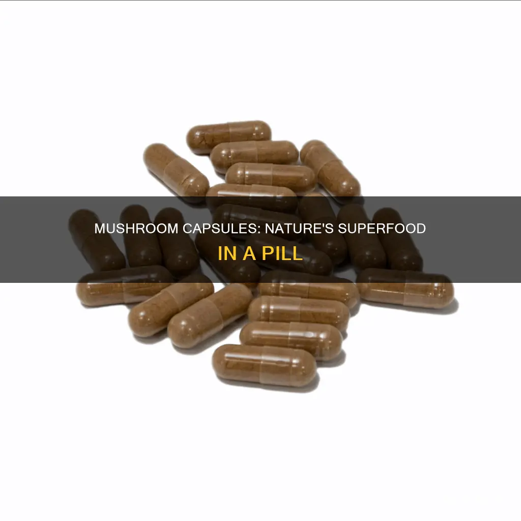 what is a mushroom capsule