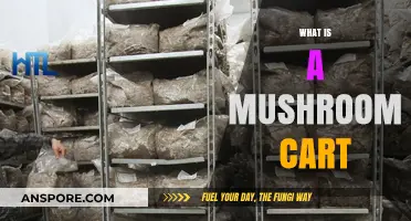Mushroom Cart: A Mobile Fungi Farm