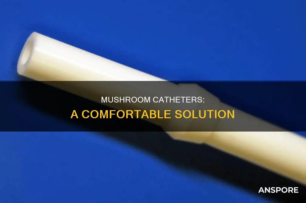 what is a mushroom catheter