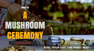 Mushroom Ceremonies: A Spiritual Journey with Psychedelics