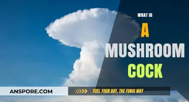 The Magic of Mushroom Cocks: Unveiling Nature's Secrets