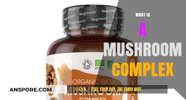 Mushroom Complex: Nature's Superfood Explained