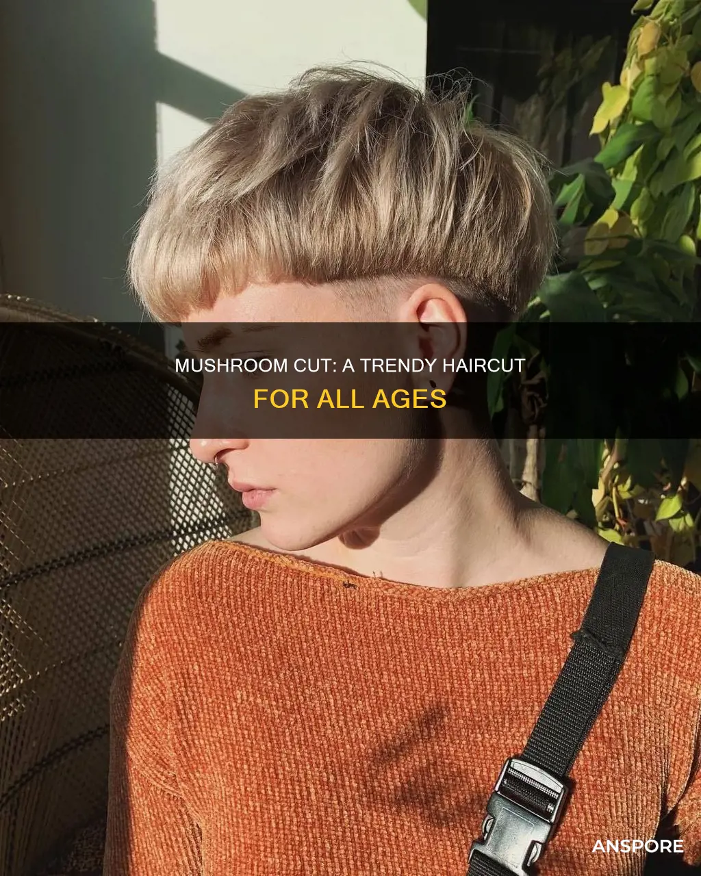 what is a mushroom cut