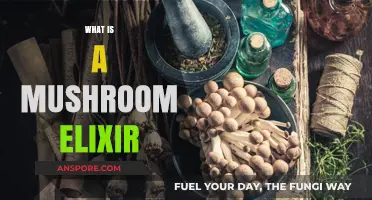 Mushroom Elixirs: Nature's Superfood Potions