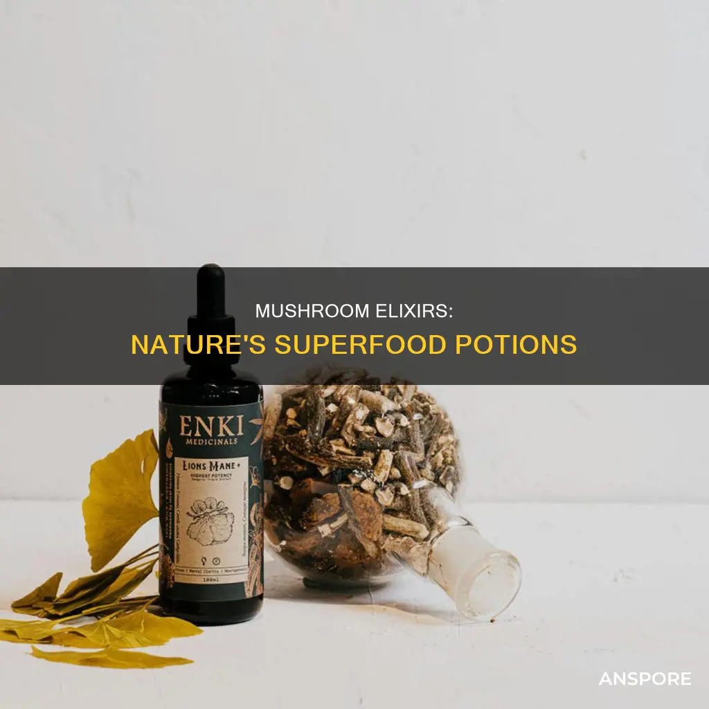 what is a mushroom elixir