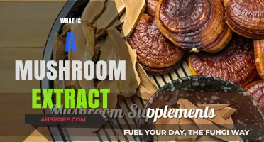 Mushroom Extract: Nature's Superfood Boost