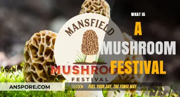 Mushroom Festival: A Fun Fungi Celebration