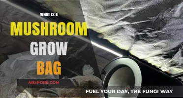 Understanding Mushroom Grow Bags: A Beginner's Guide to Cultivation