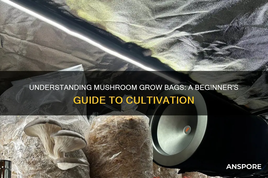 what is a mushroom grow bag