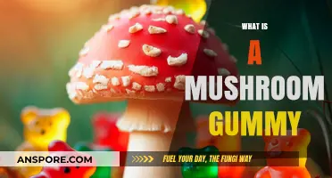 Mushroom Gummies: What Are They?
