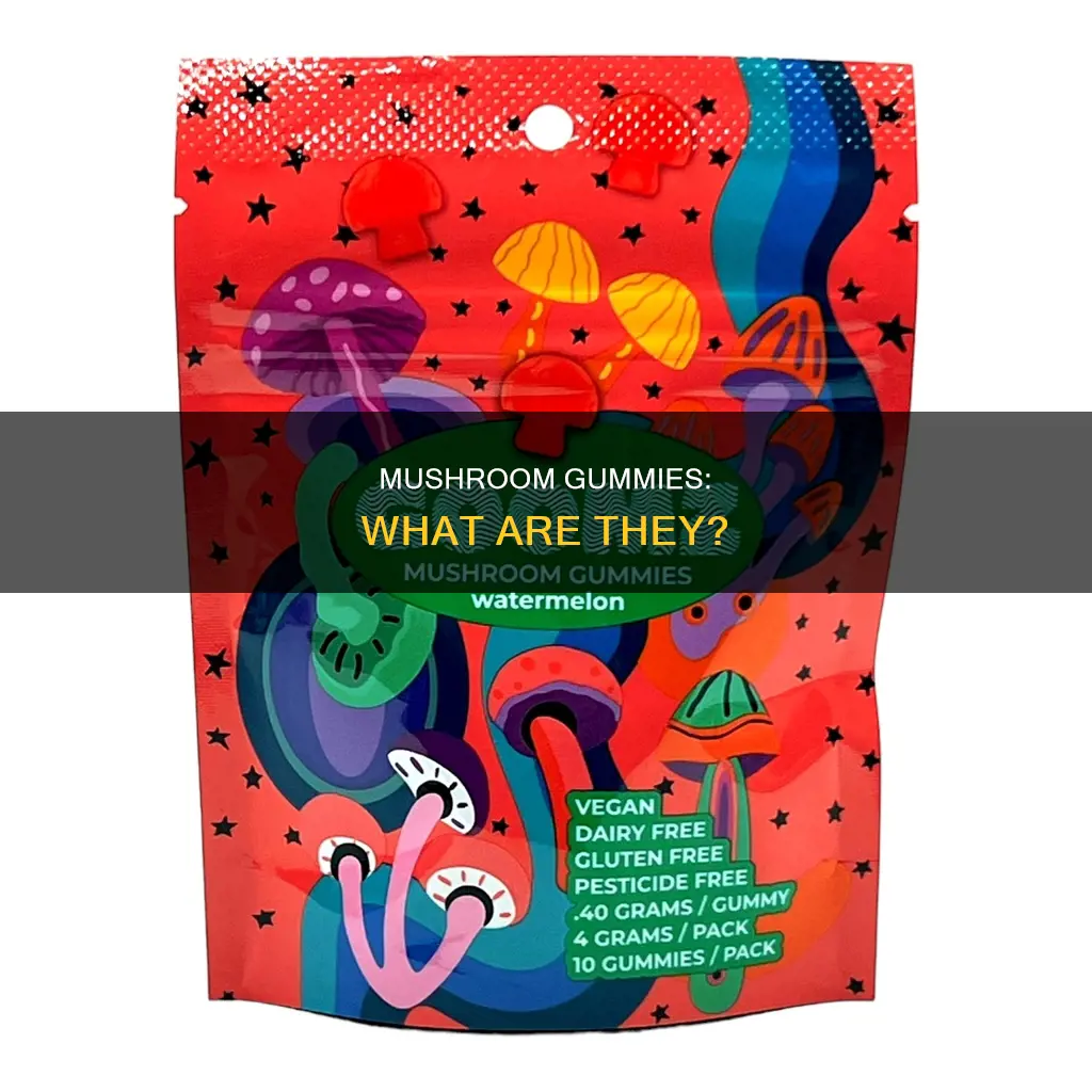 what is a mushroom gummy