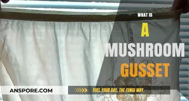 Mushroom Gusset: A Unique Feature of Fungi