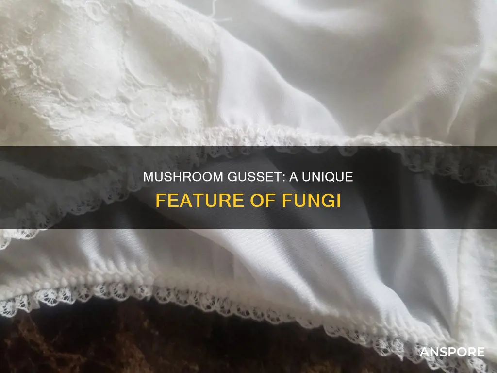 what is a mushroom gusset