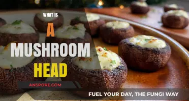 Mushroom Head: A Unique Cap Shape