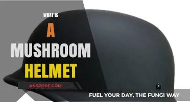 Mushroom Helmets: Safety Gear Innovation