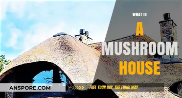 Mushroom Houses: Nature's Whimsical Architecture