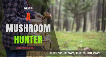 Mushroom Hunting: Foraging for Wild Fungi