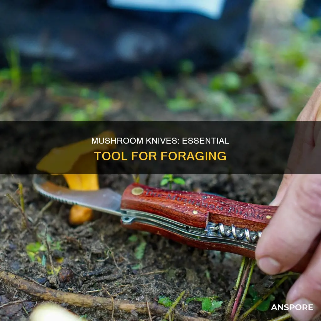 what is a mushroom knife