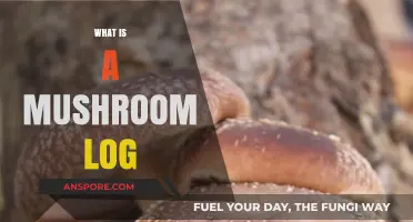 Mushroom Logs: Nature's Way to Grow Mushrooms