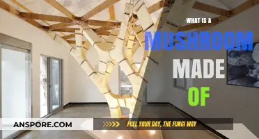 Unveiling the Composition: What Exactly is a Mushroom Made Of?
