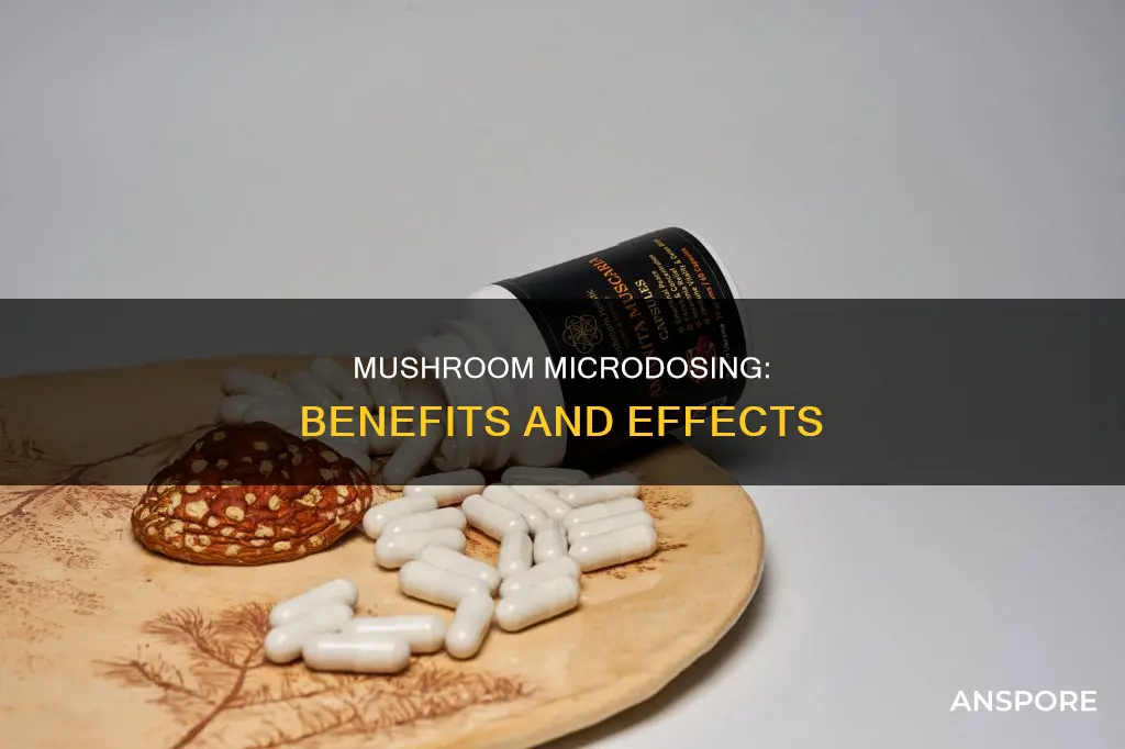 what is a mushroom microdose