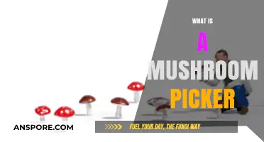 Mushroom Pickers: Foraging for a Living