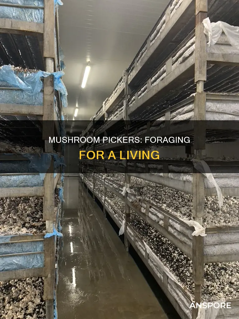what is a mushroom picker
