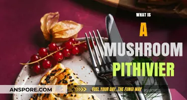 Mushroom Pithivier: A Vegetarian's Delight