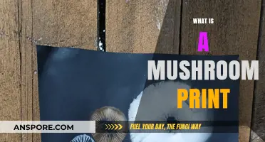 Mushroom Prints: Capturing Nature's Unique Impressions