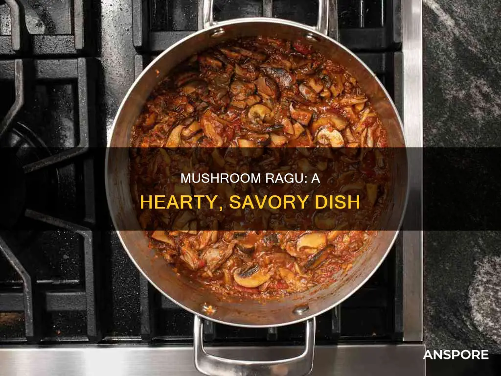 what is a mushroom ragu