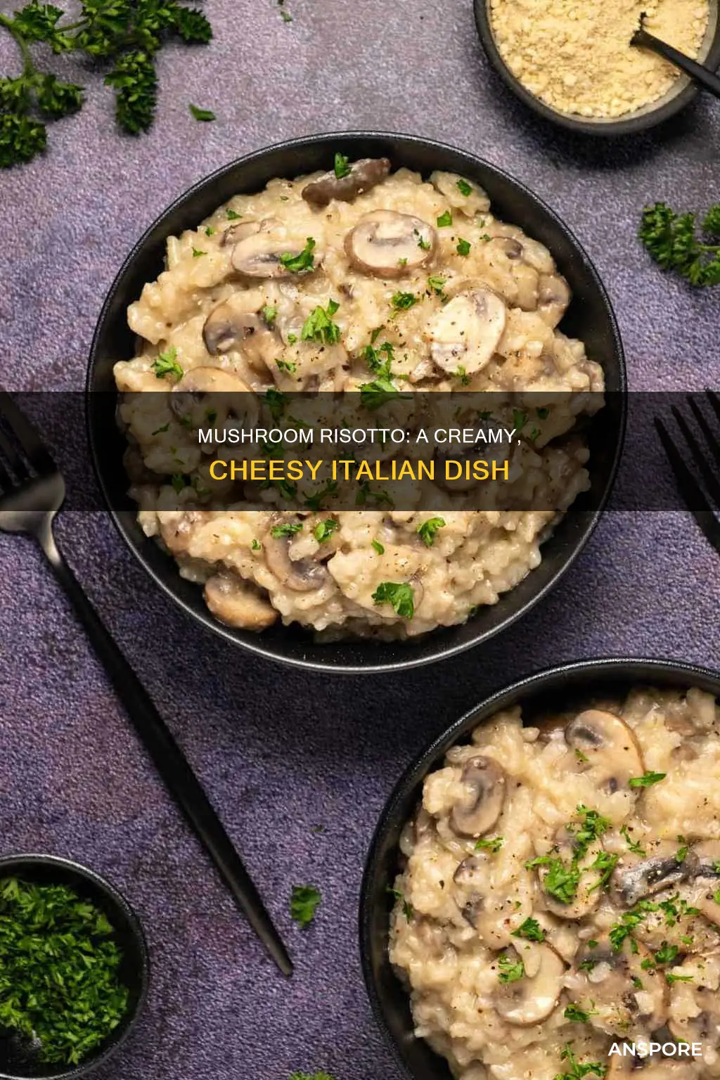 what is a mushroom risotto