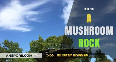 Mushroom Rocks: Nature's Weird and Wonderful Sculptures