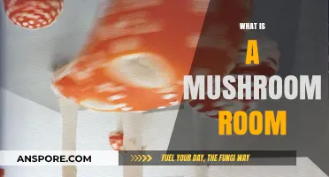 Mushroom Rooms: Nature's Secret Chamber