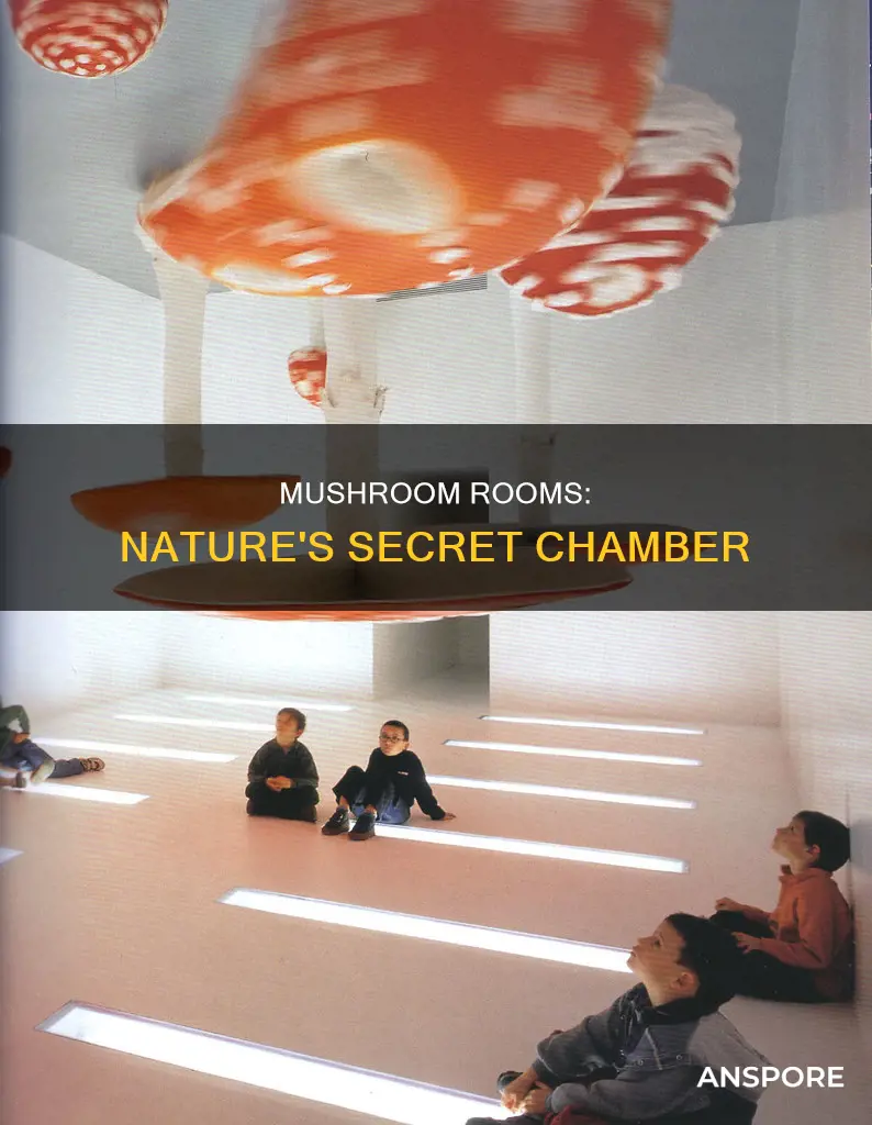 what is a mushroom room