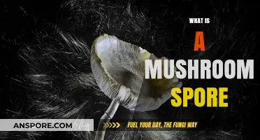 Mushroom Spore: Nature's Magic Dust