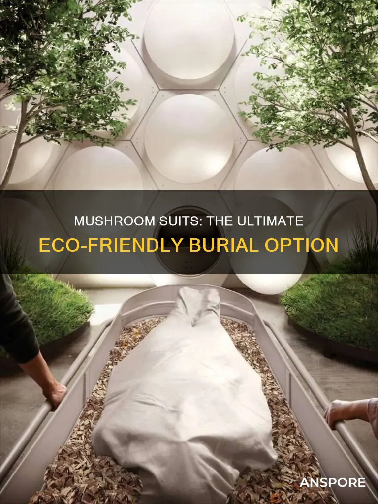 what is a mushroom suit