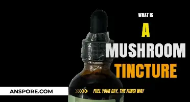 Mushroom Tinctures: Liquid Power for Health