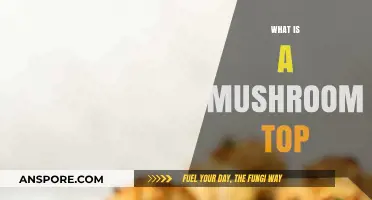 Mushroom Tops: The Ultimate Guide to This Funky Hairstyle