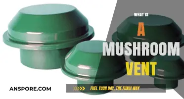 Mushroom Vents: A Unique Feature of Nature