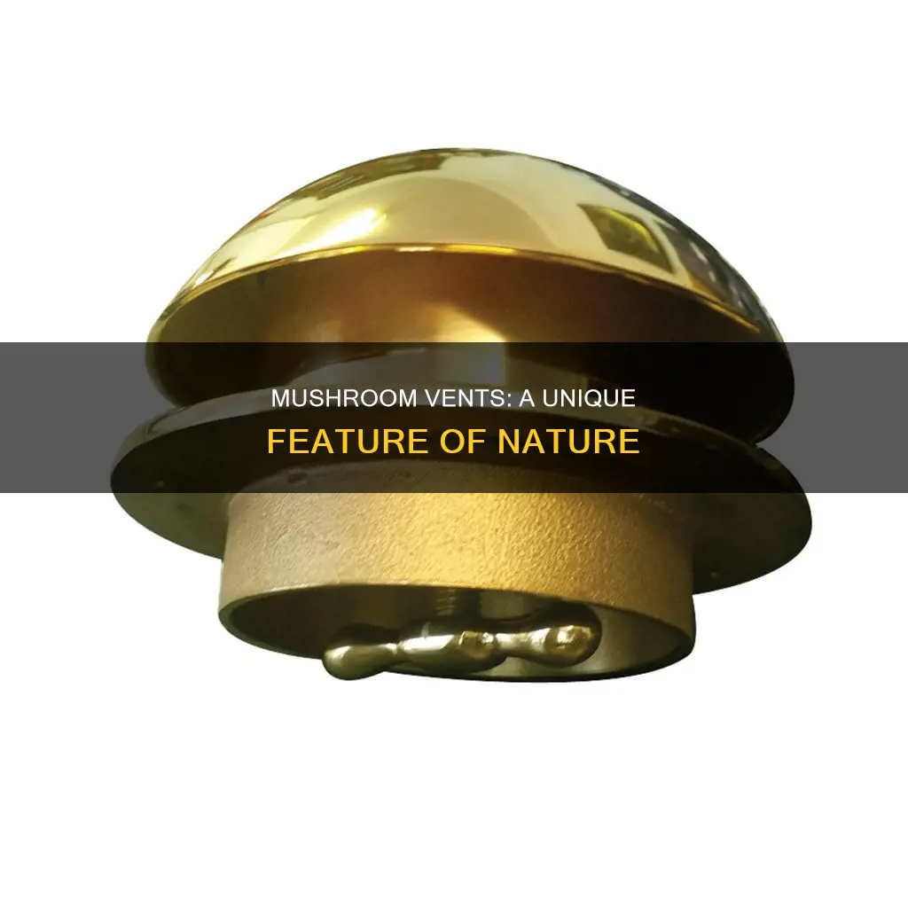 what is a mushroom vent
