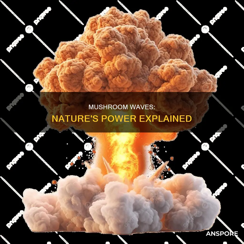 what is a mushroom wave