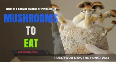 Understanding Safe Psychedelic Mushroom Dosage: A Beginner’s Guide