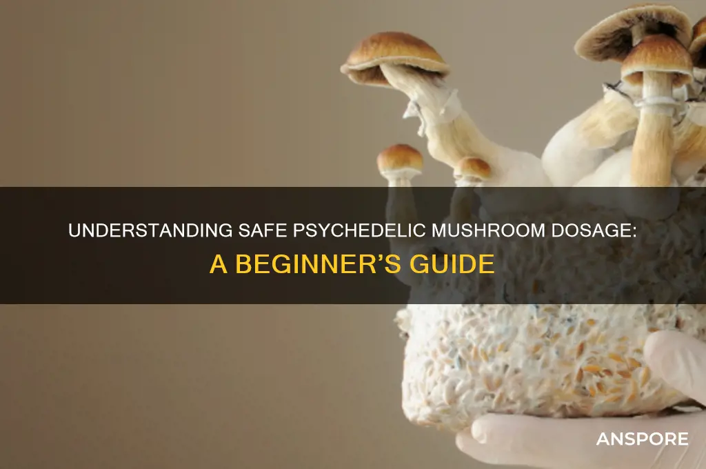 what is a normal amount of psychadelic mushrooms to eat
