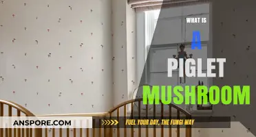 Piglet Mushrooms: A Tasty Treat