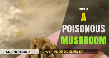 Identifying Deadly Fungi: Understanding What Makes a Mushroom Poisonous