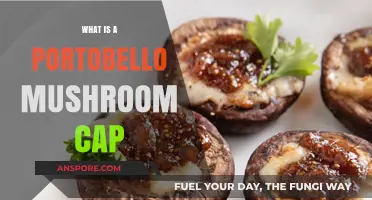 Discover the Versatile Portobello Mushroom Cap: A Culinary Delight
